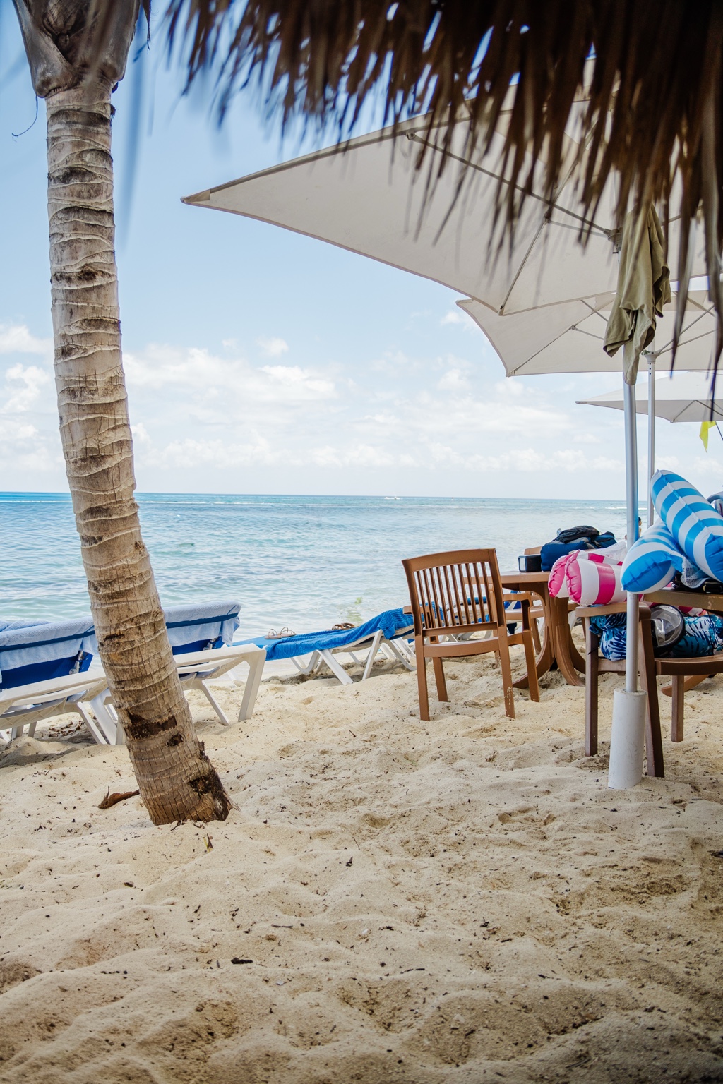 Relaxed tropical beach scene with palm tree and umbrellas