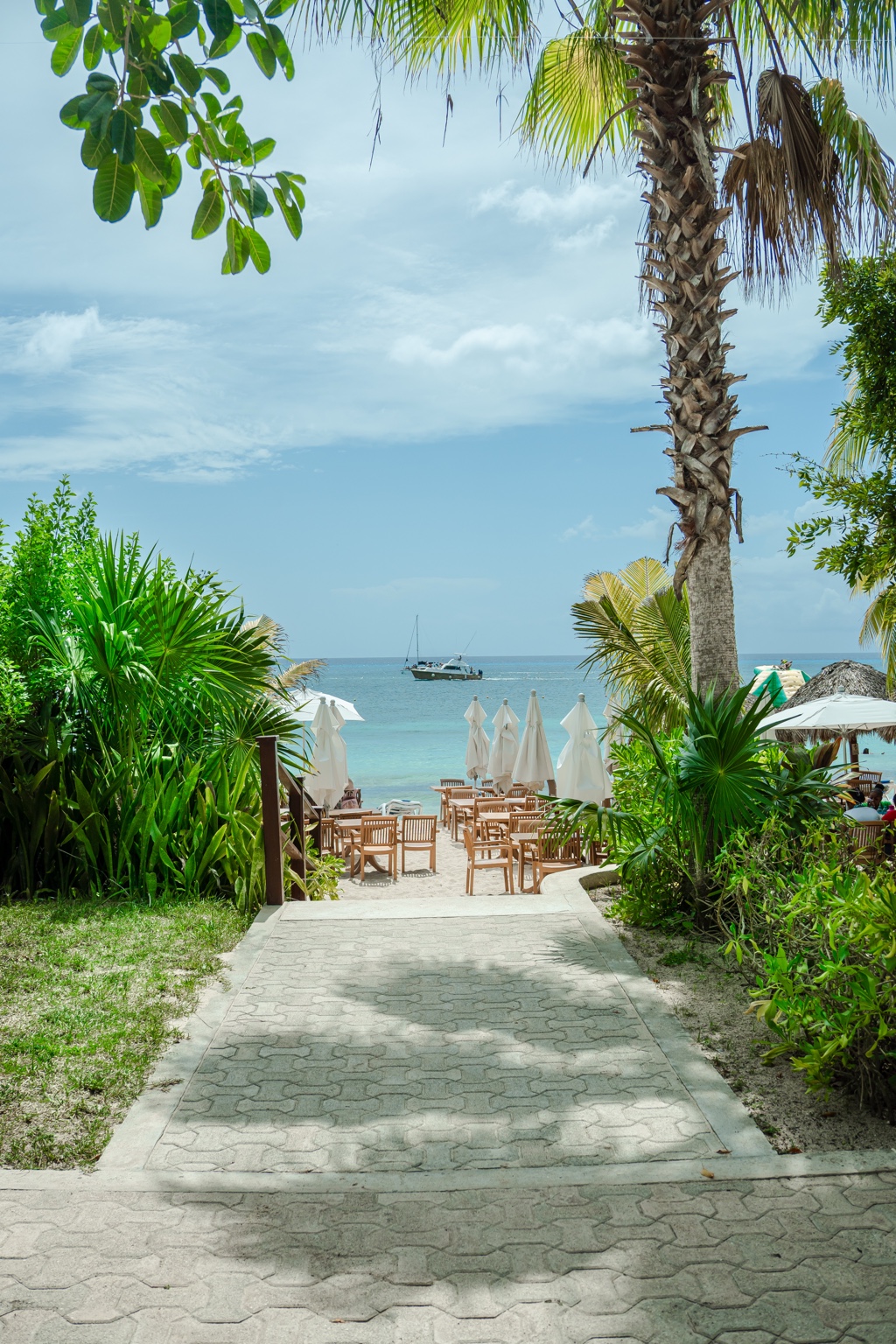 Tropical path leading toward a bright blue ocean